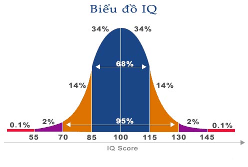 Điểm IQ trung bình 1