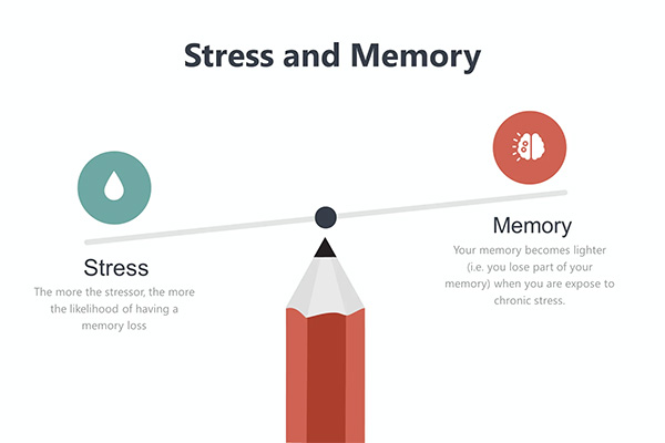Căng thẳng ảnh hưởng tới trí nhớ của bạn như thế nào? 1